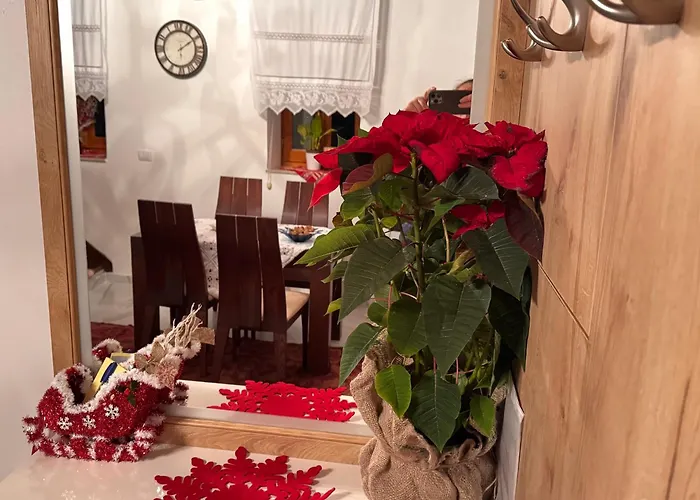 Mezini Guest House